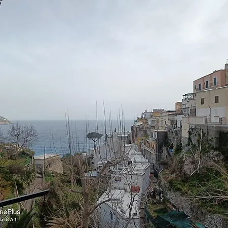 Apartment Regina Margherita